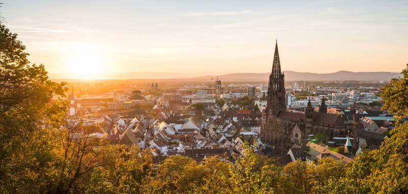 Blick auf die Stadt Freiburg und das Freiburger Münster