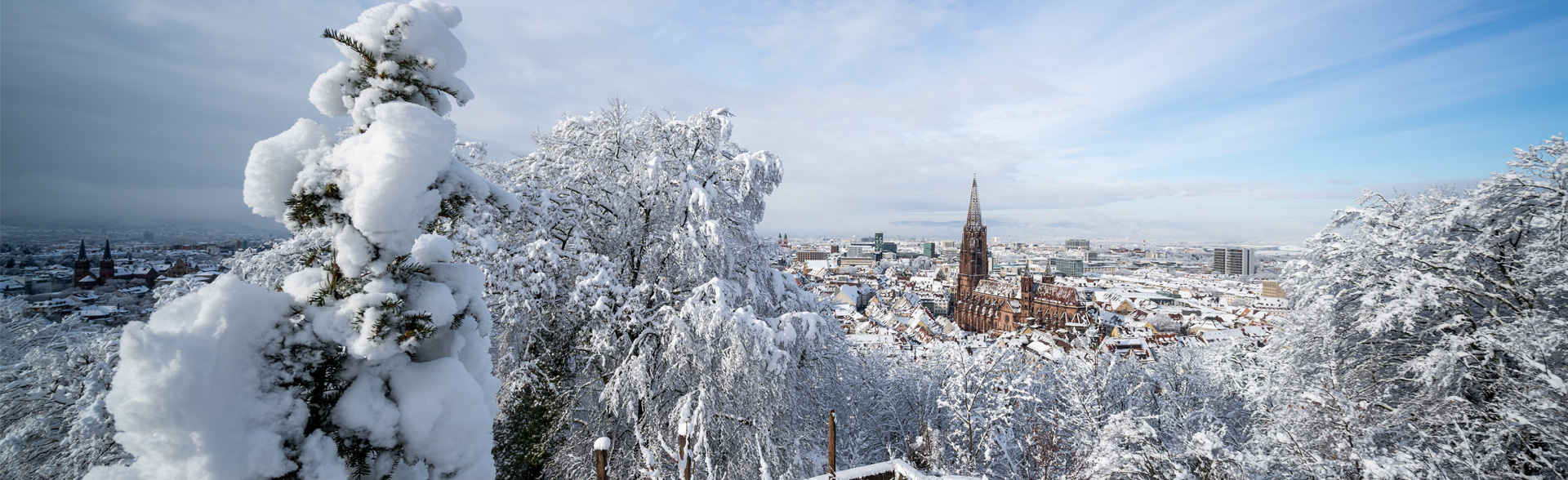 Winter in Freiburg