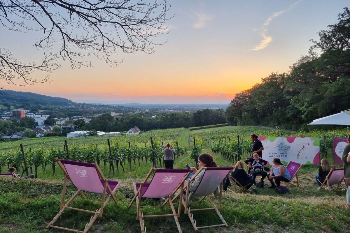 Blick auf Freiburg beim Weinsüden Pop-Up