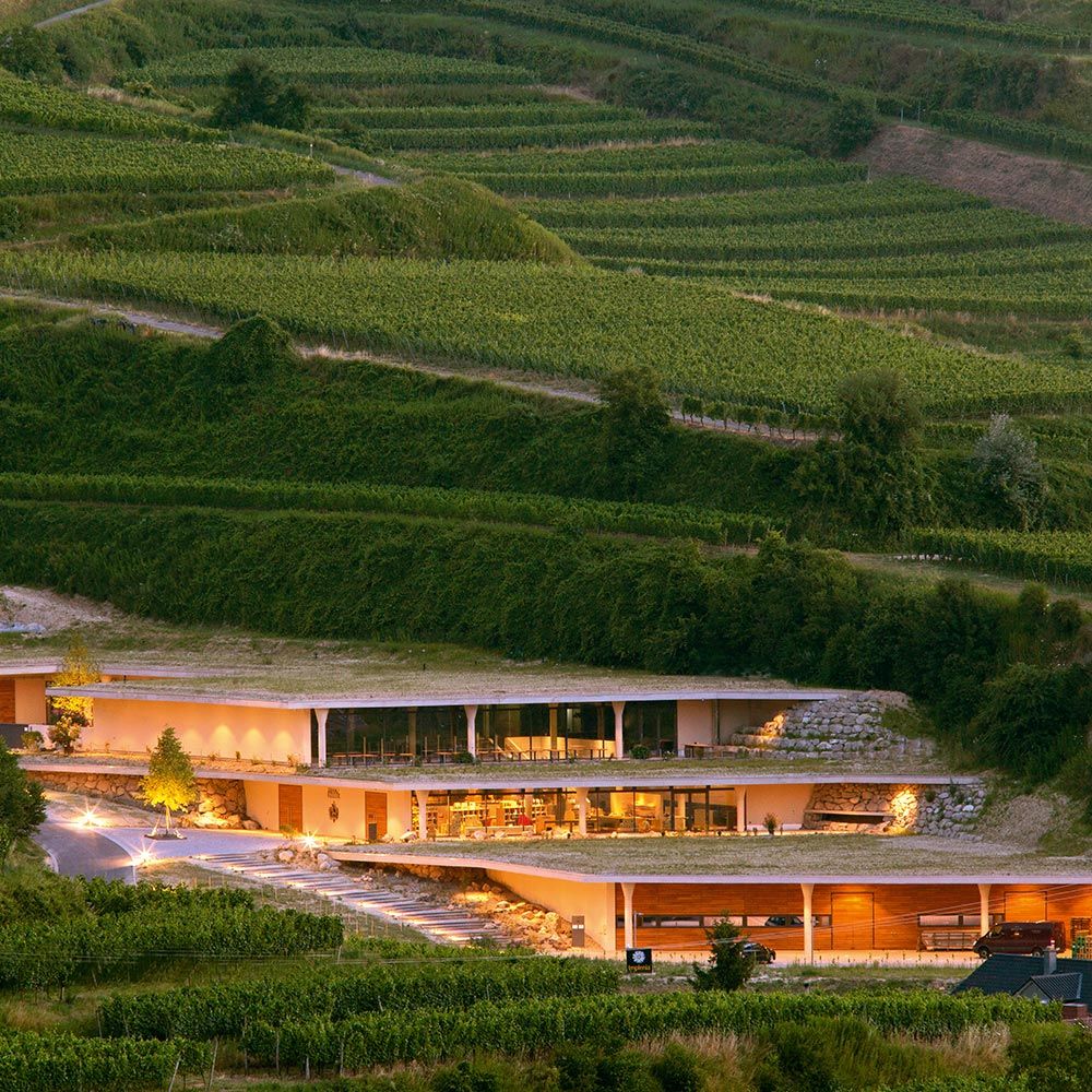 Weingut Franz Keller Oberbergen Kaiserstuhl