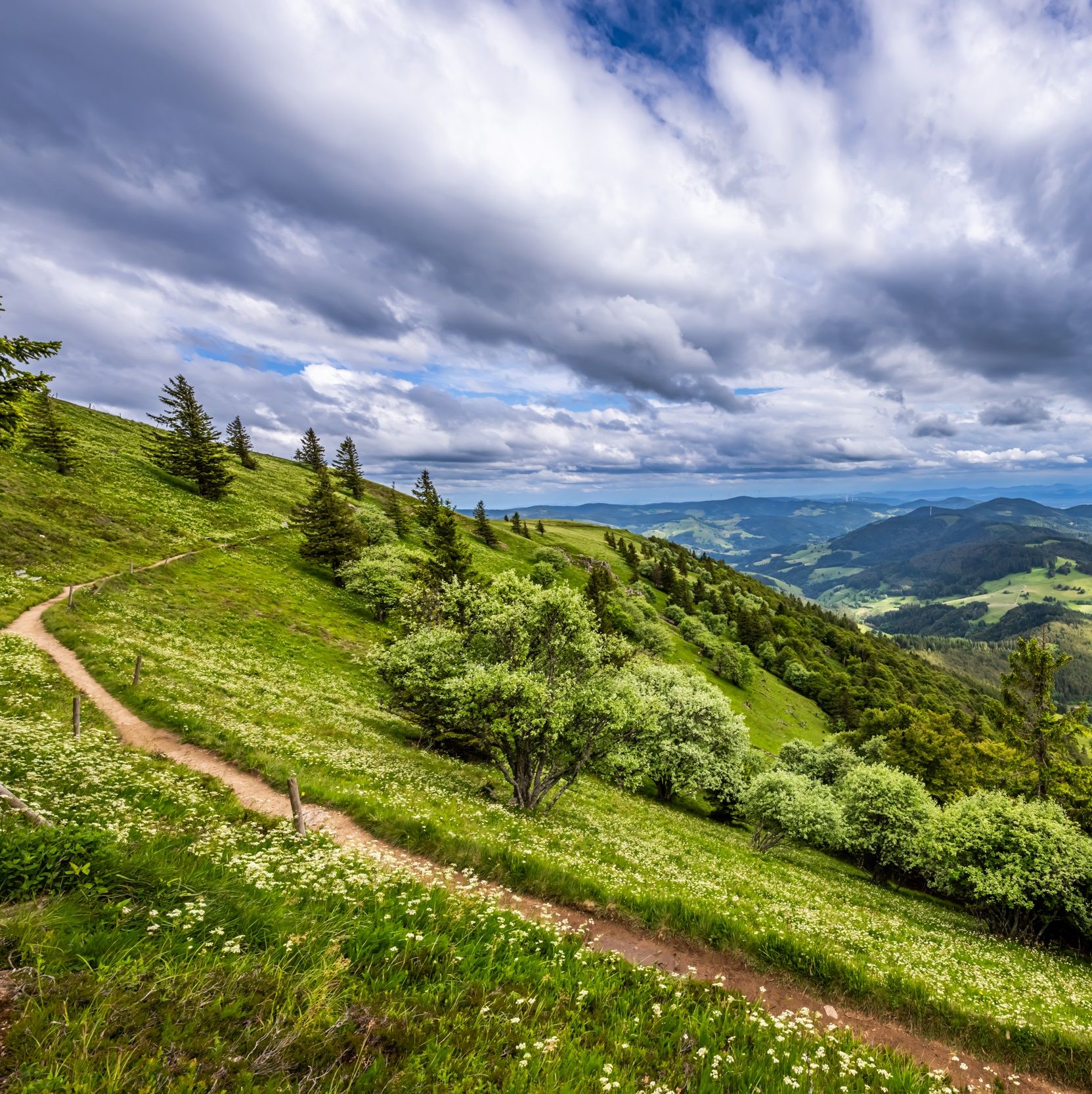 Wanderweg Belchensteig