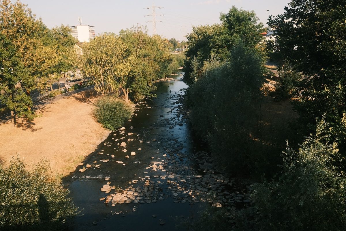 Blick auf die Dreisam