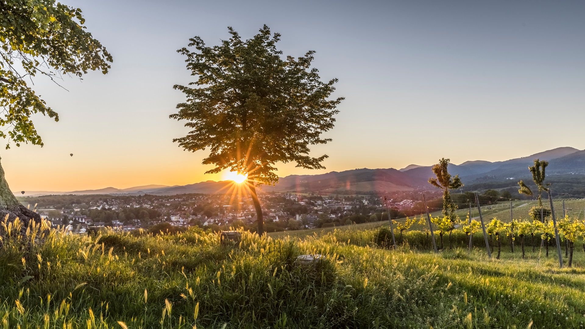 Blick auf den Müllheim