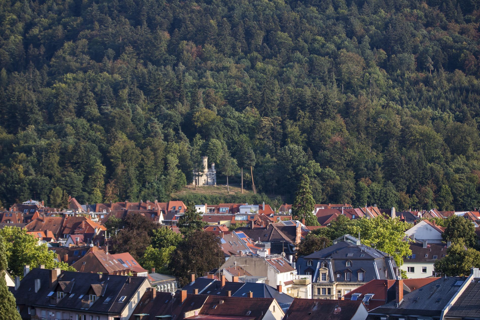 Das Wasserschlössle in Freiburg thront malerisch vor einem dichten Wald, umgeben von den roten Dächern der Stadt.