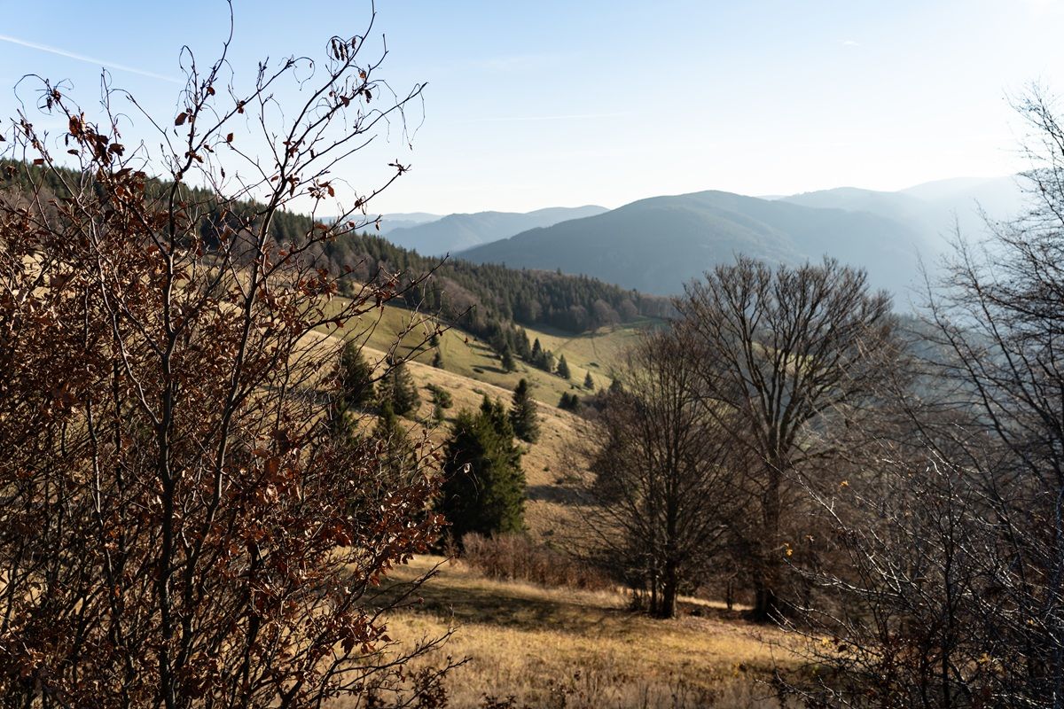 Blick auf die Landschaft am Schauinsland