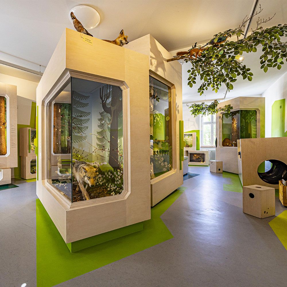 Museum Natur und Mensch Freiburg