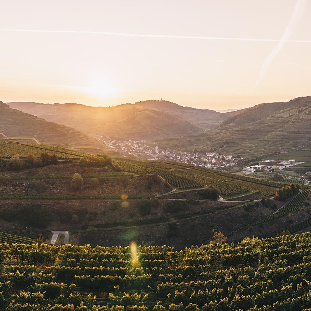 Kaiserstuhl bei Sonnenaufgang