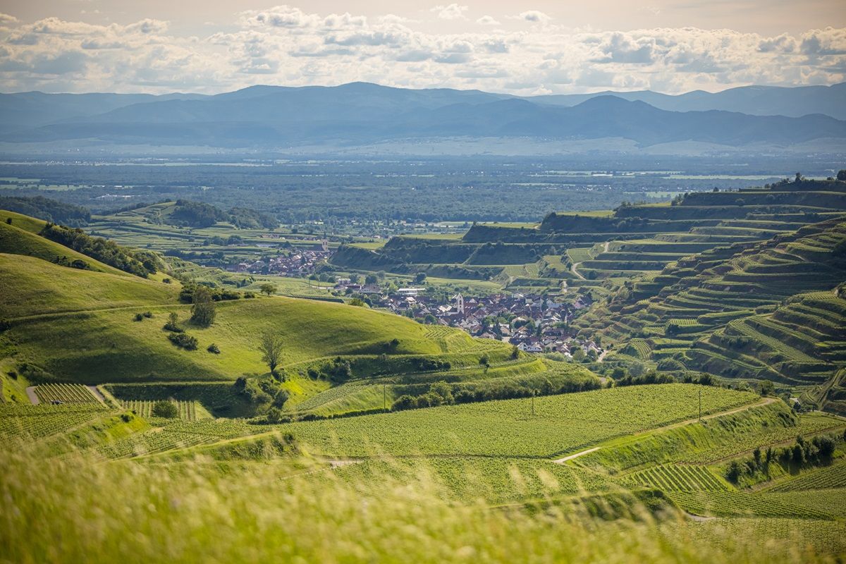 Blick auf Riegel