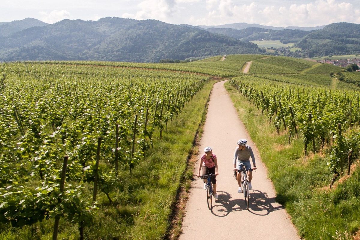 Zwei Menschen auf dem Fahrrad zwischen den Reben