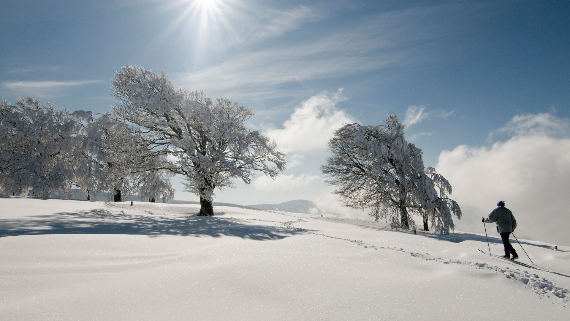 Langlauf am Schauinsland 