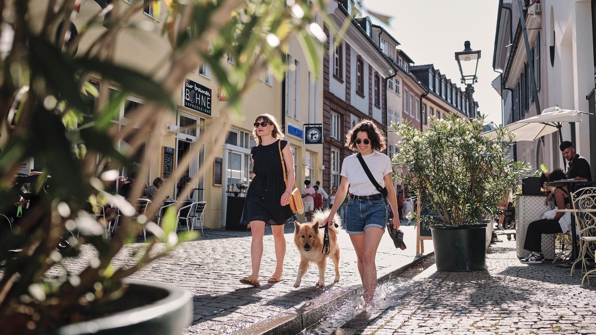 Zwei Frauen schlendern mit einem Hund durch Freiburg, eine geht barfuß durchs Bächle.