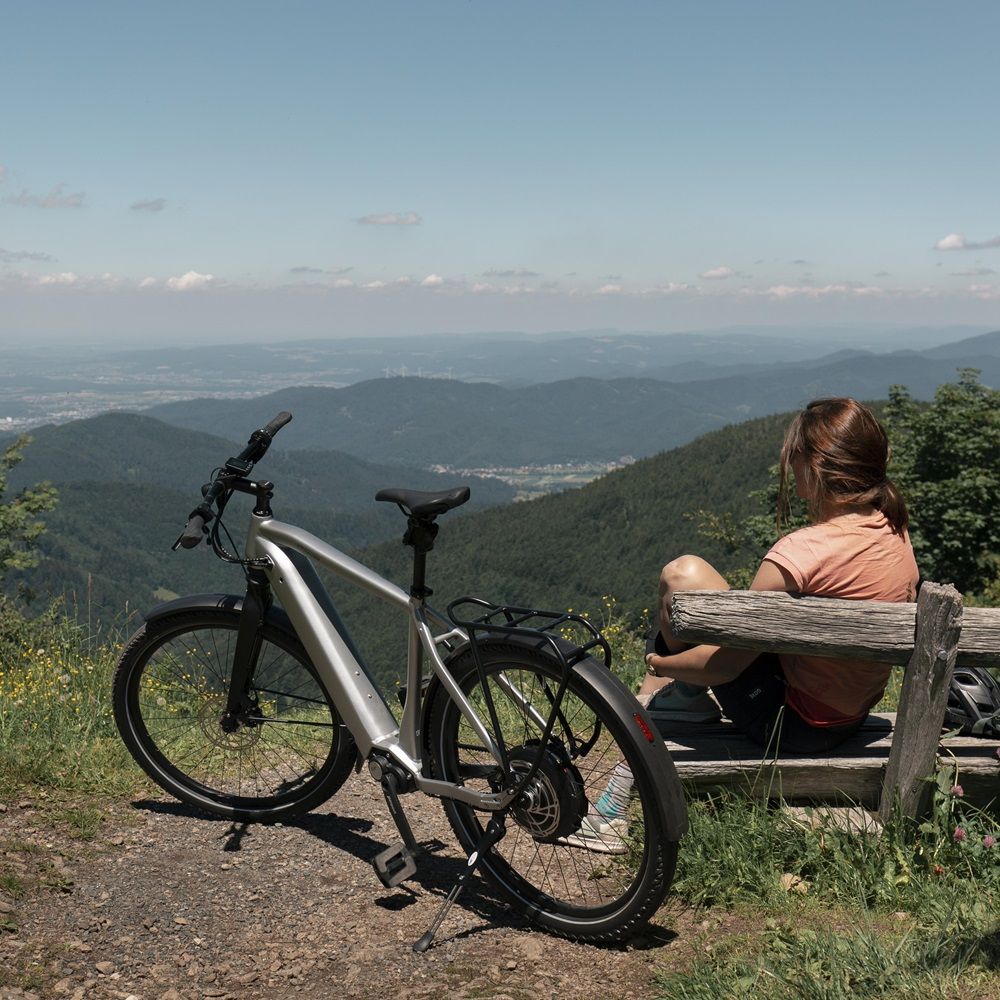 Frau auf einer Parkbank, neben ihr ein E-Bike mit Blick über die Landschaft