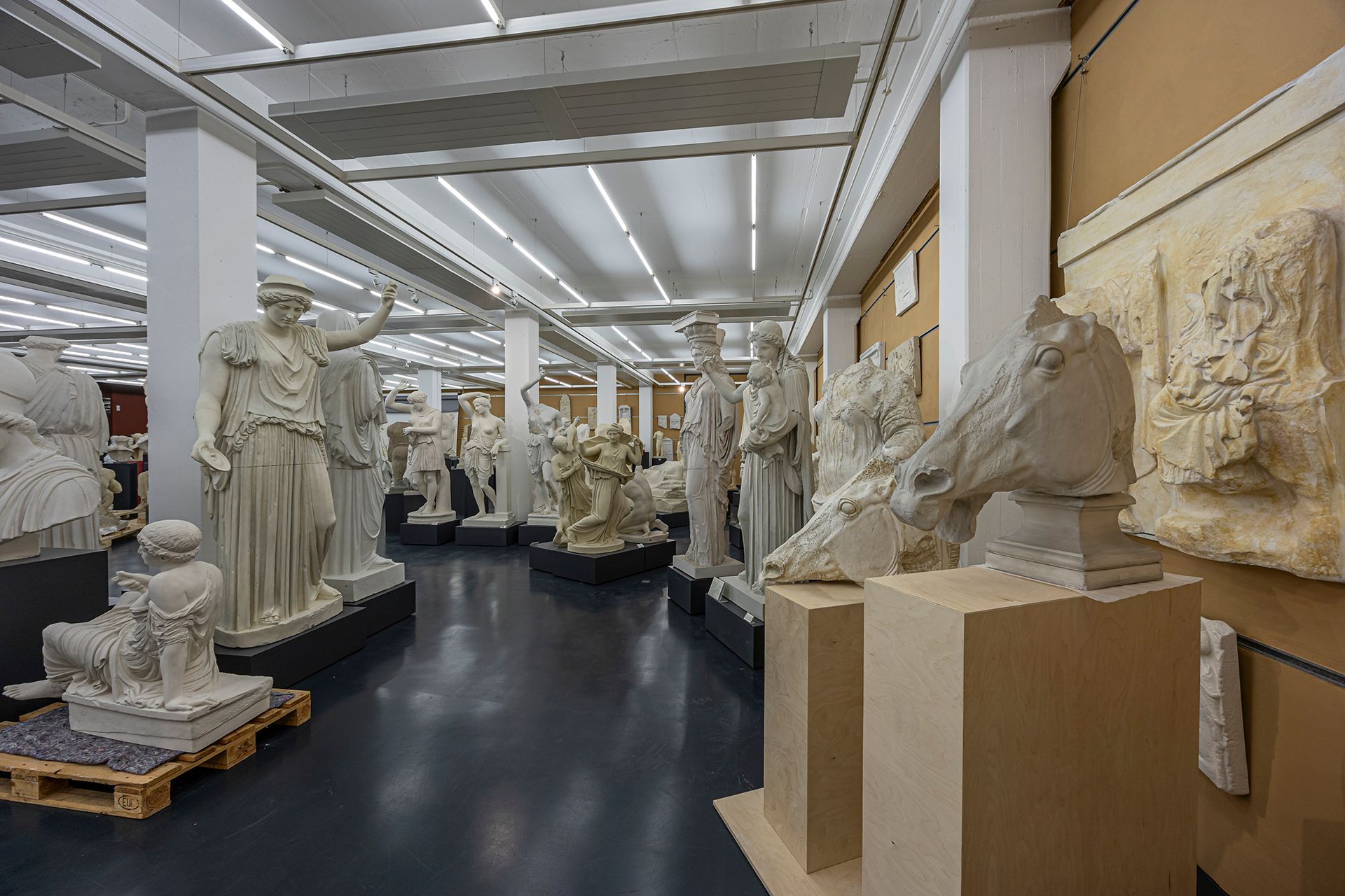 Innenansicht einer archäologischen Sammlung mit zahlreichen antiken Skulpturen und Reliefs, die in einem modernen Ausstellungsraum präsentiert werden.