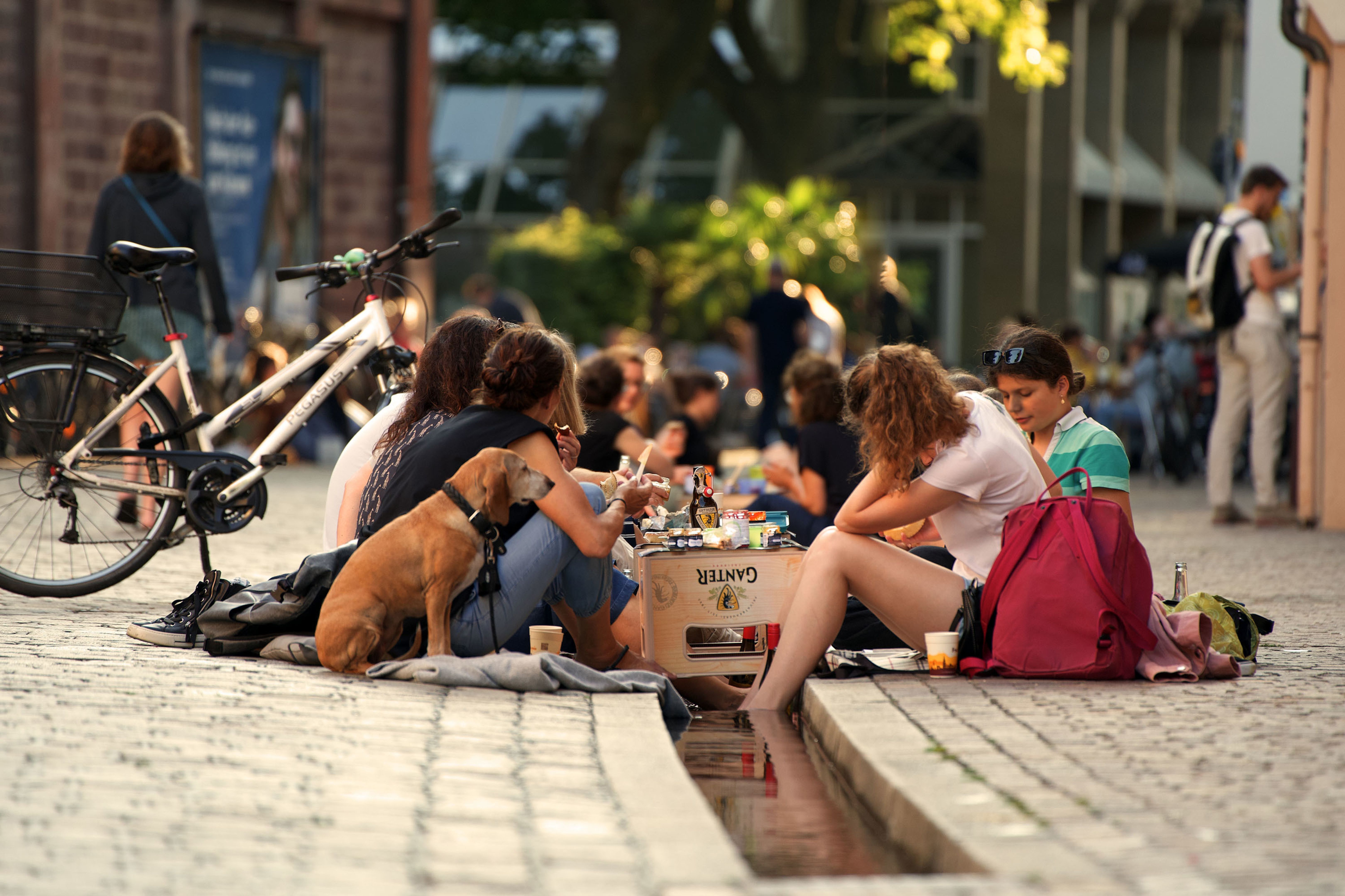 Menschen sitzen bei einem Picknick am Bächle in Freiburg. Ein Hund und Fahrräder sind zu sehen. Die Szene wirkt entspannt und gesellig.