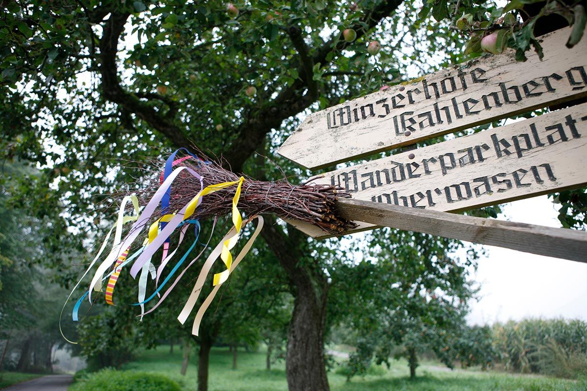 Schild zur Straußenwirtschaft Kahlenberg