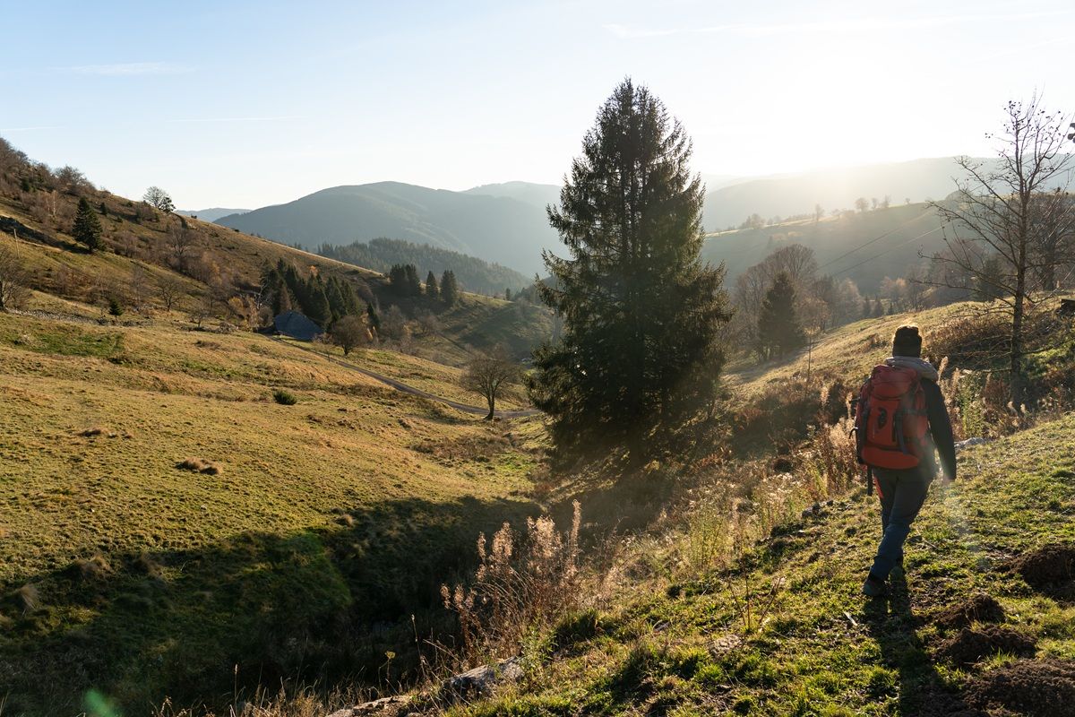 Frau wandert am Schauinsland