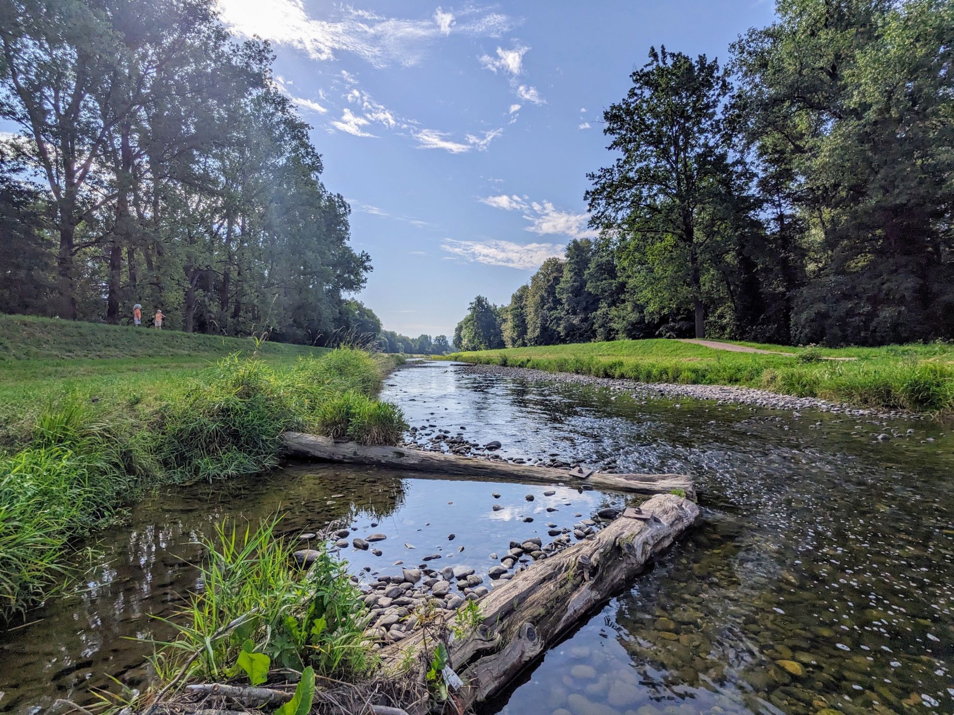 Dreisam bei March-Hugstetten
