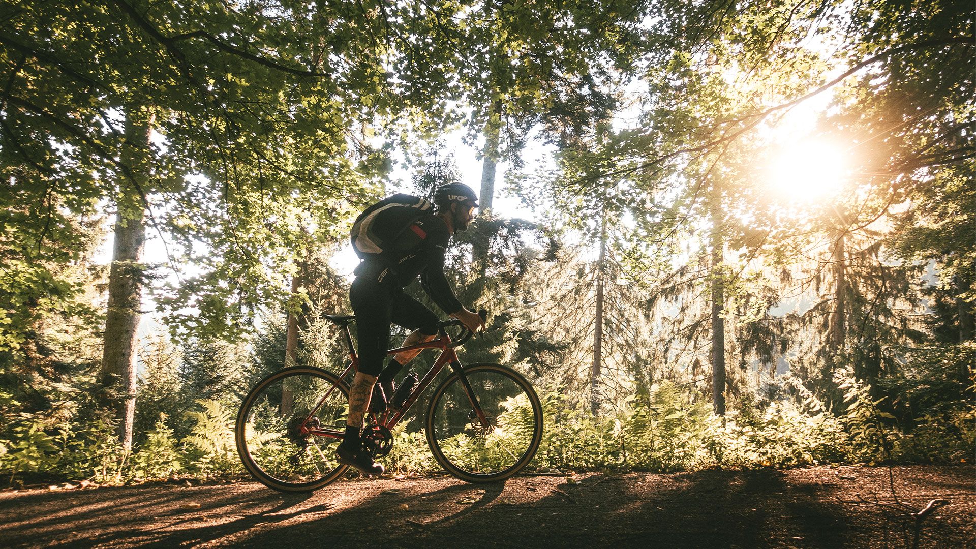 Hornisgrinde Radfahrer im Wald
