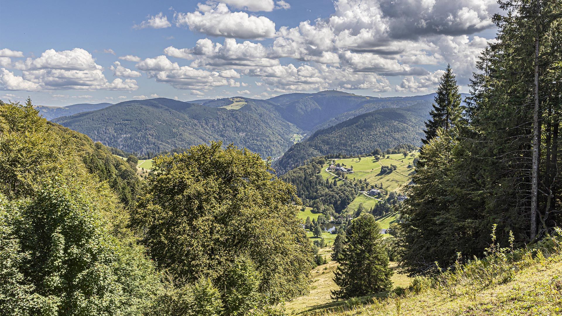 Schauinsland Panorama