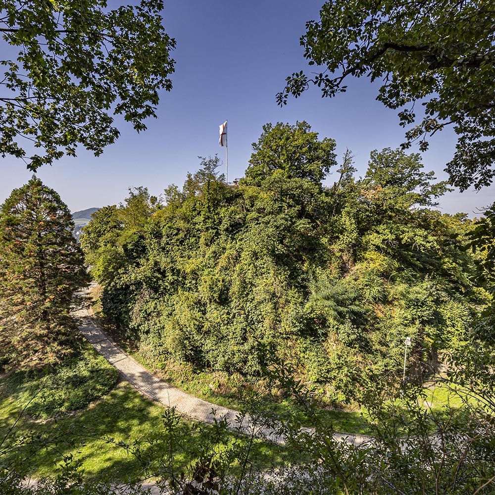 Ludwigshöhe Schloßberg Freiburg
