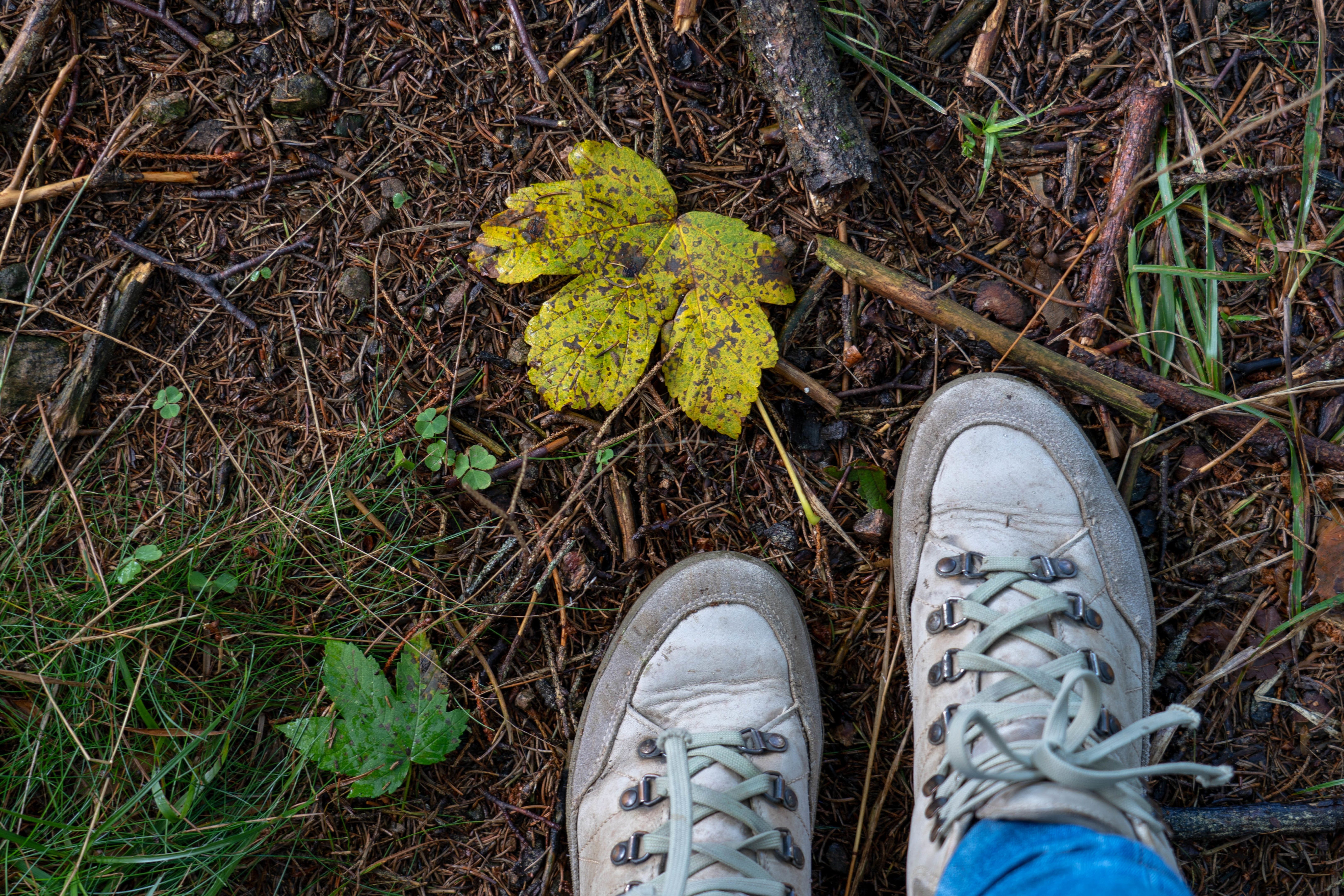 Wandern am Schlossberg