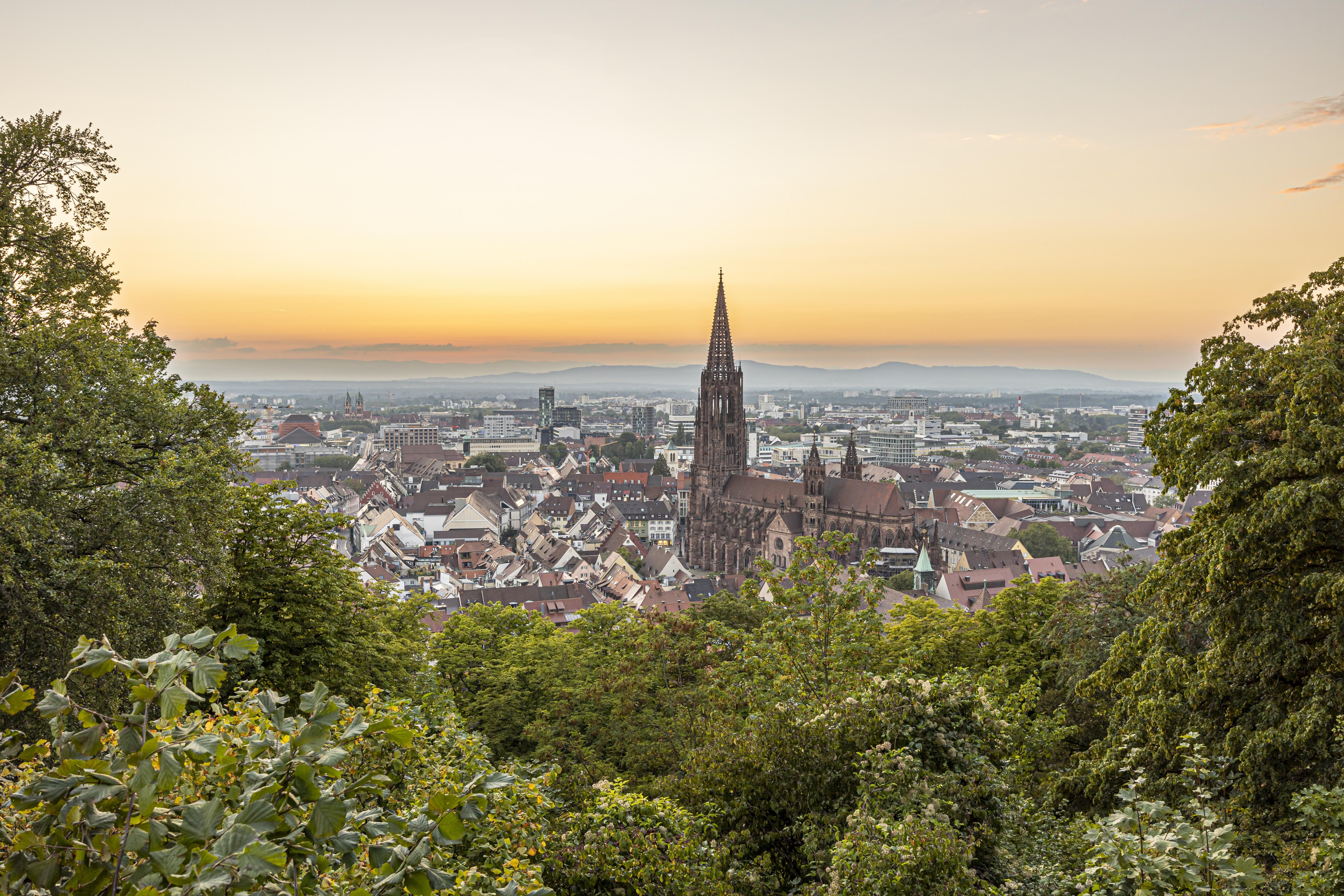 Panoramablick auf das Freiburger Münster bei Sonnenuntergang, umgeben von grünen Bäumen und der Stadtlandschaft.