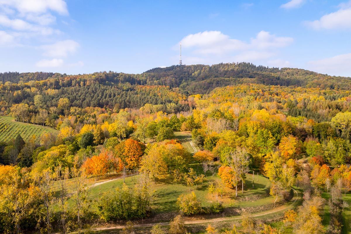 Blick auf das forstliche Arboretum Liliental