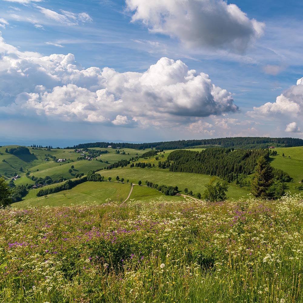 Schauinsland Aussicht
