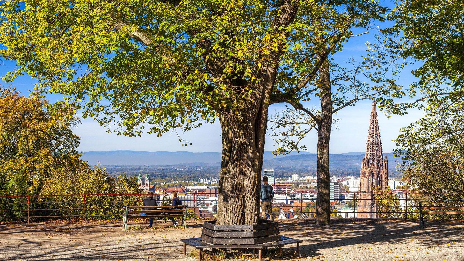 Freiburg Schlossberg Kananonenplatz Blick über die Stadt