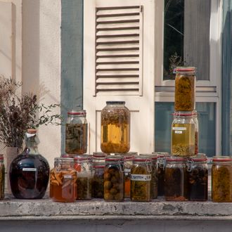 Ein Fensterbrett mit verschiedenen Einmachgläsern, gefüllt mit eingelegten Lebensmitteln und Kräutern. 
