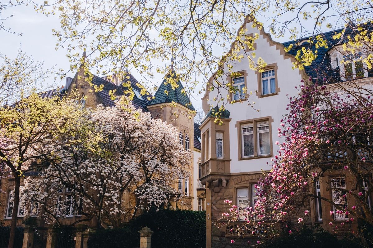 Blumen im Frühling in der Wiehre