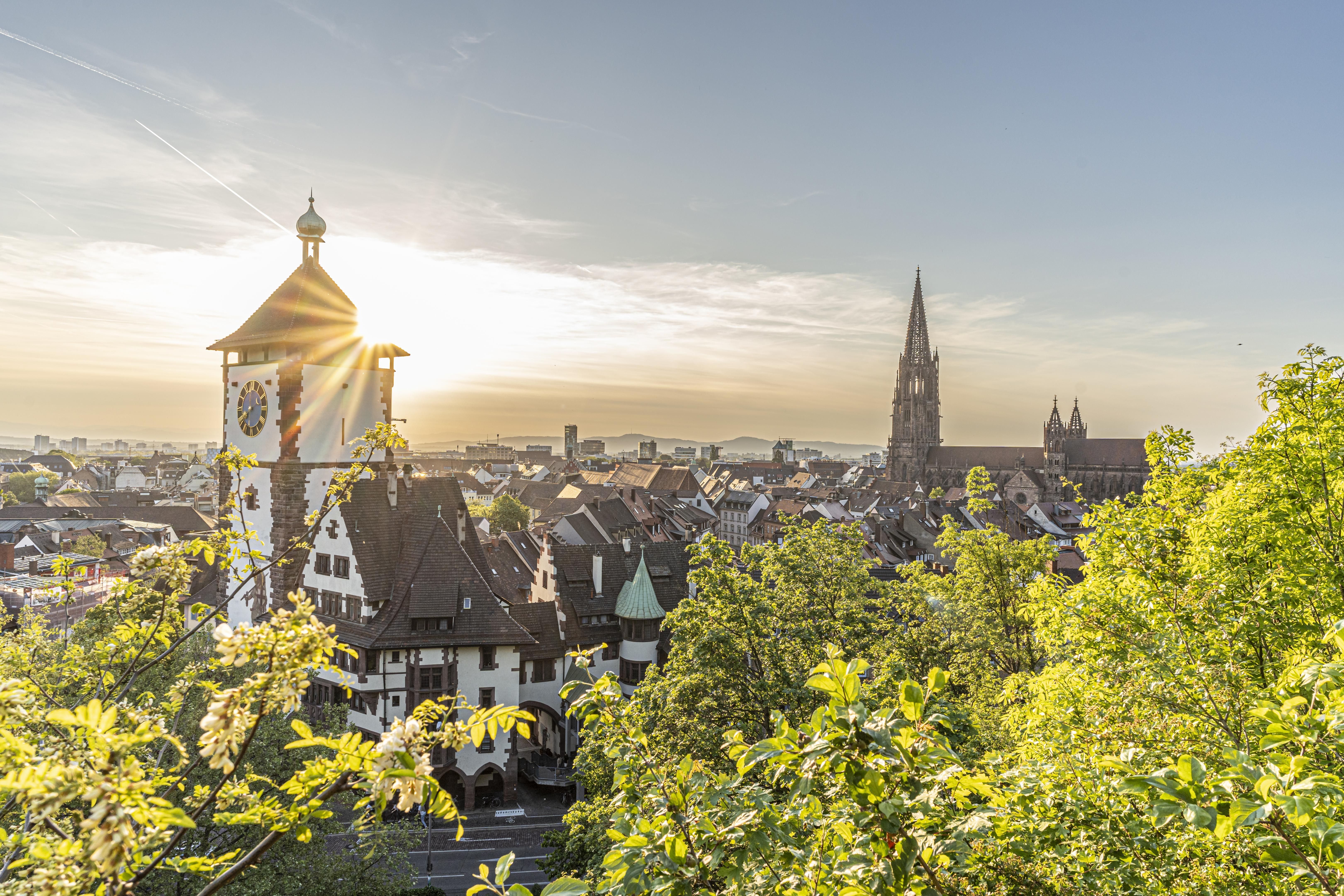 Panoramablick auf Freiburg im Breisgau mit Schwabentor im Vordergrund und dem Münster im Hintergrund, umgeben von grünen Bäumen im Sonnenlicht.