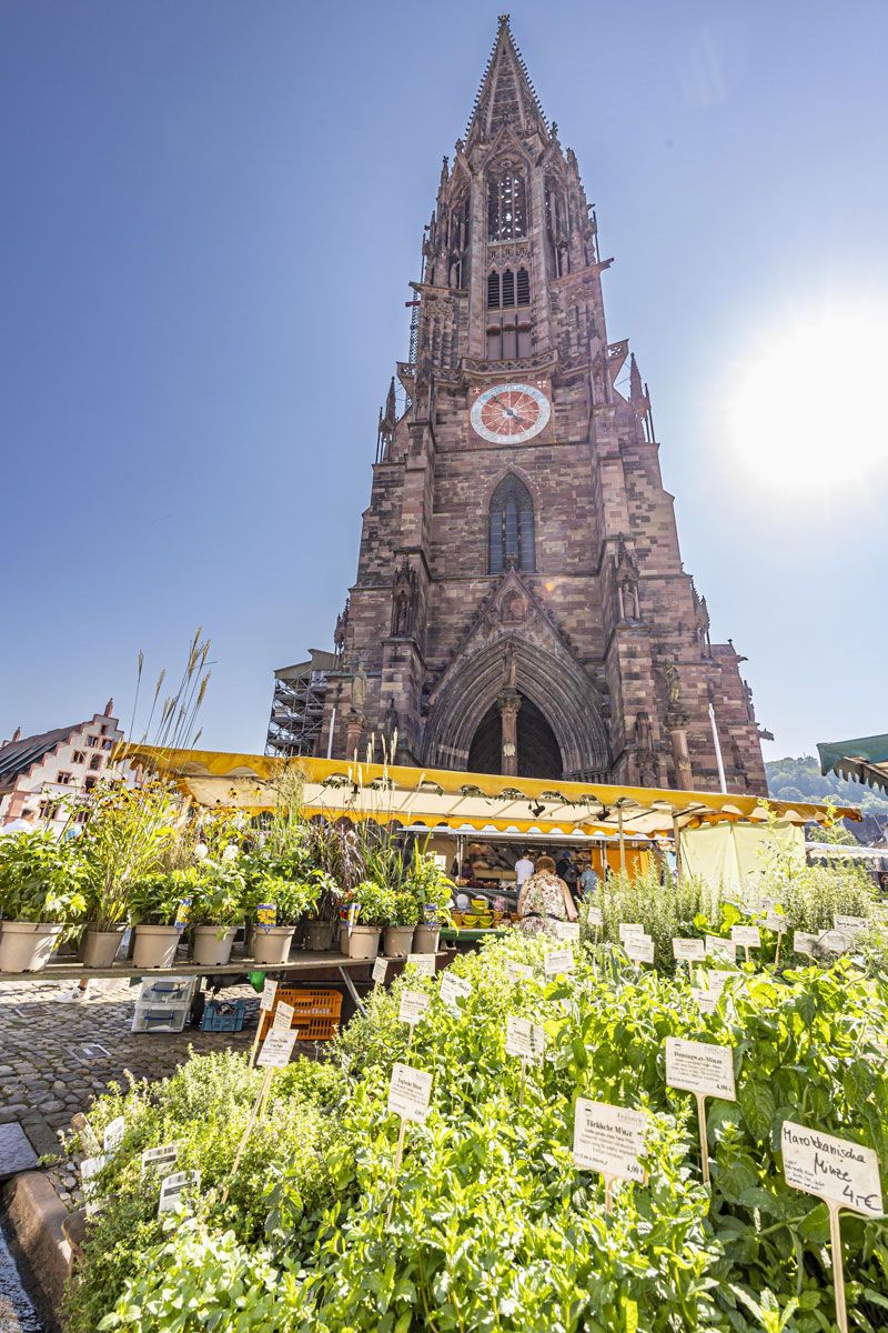 Freiburger Münster mit dem Münstermarkt im Vordergrund