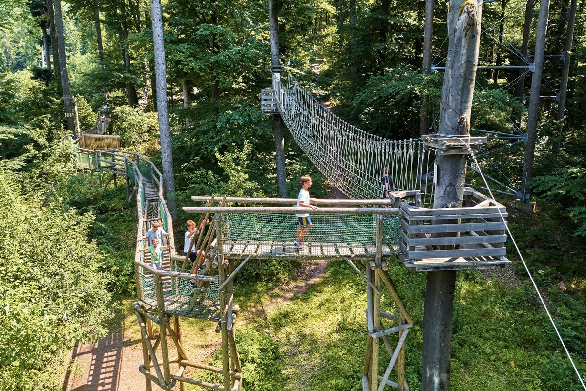 Kinder auf dem Baumkronenweg