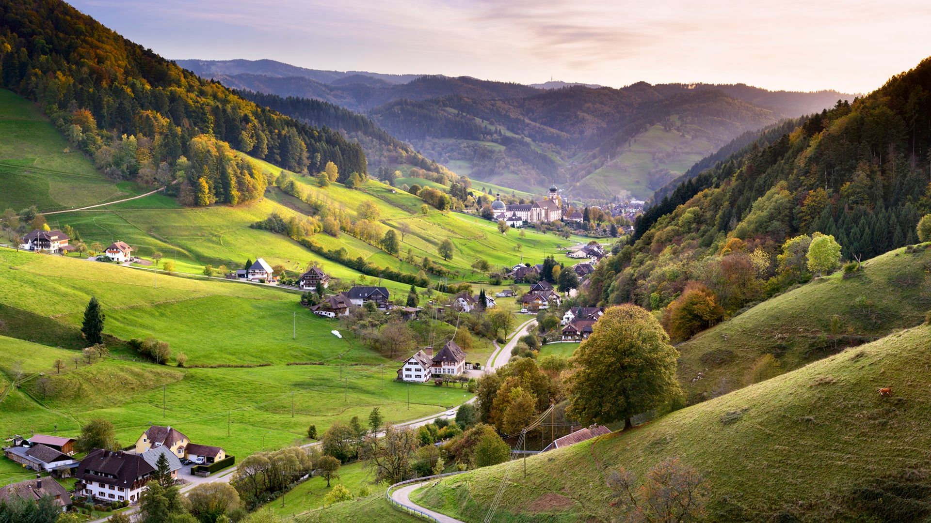 Blick in das Münstertal