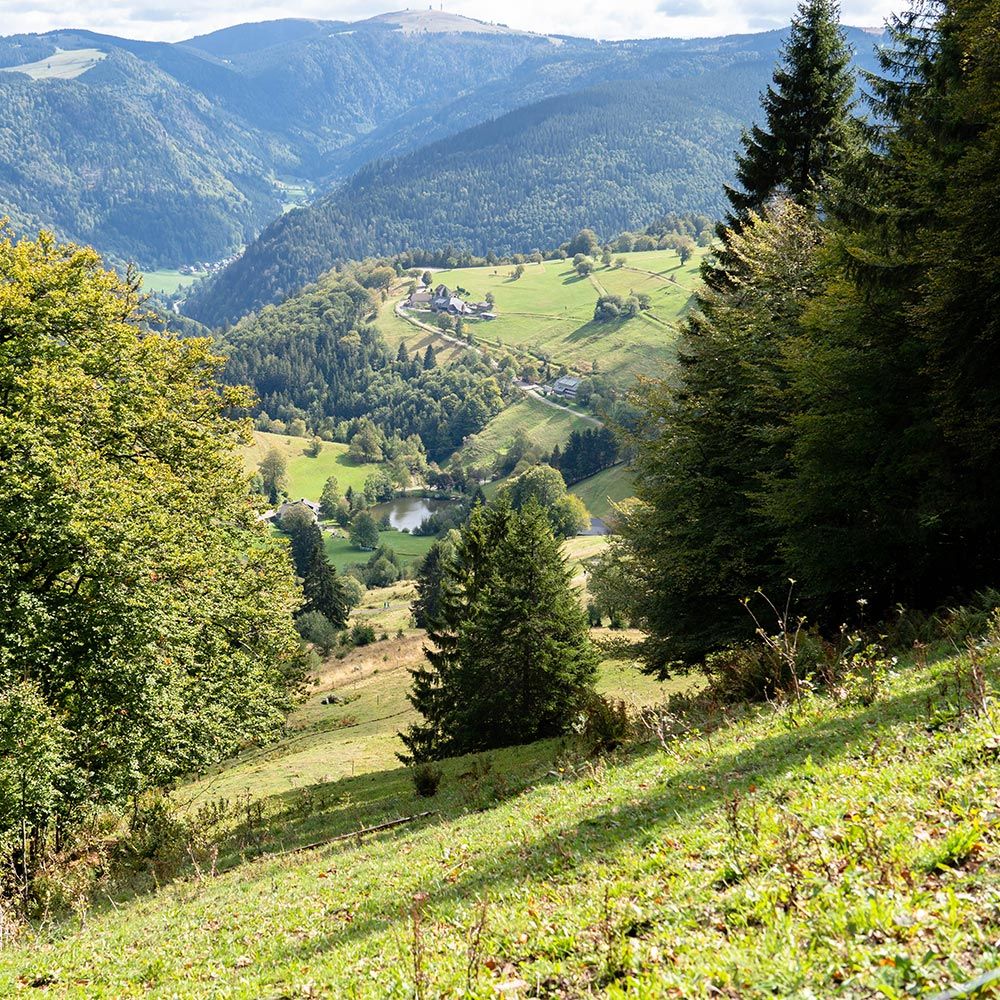 Freiburg Schauinsland Blick in die Ferne