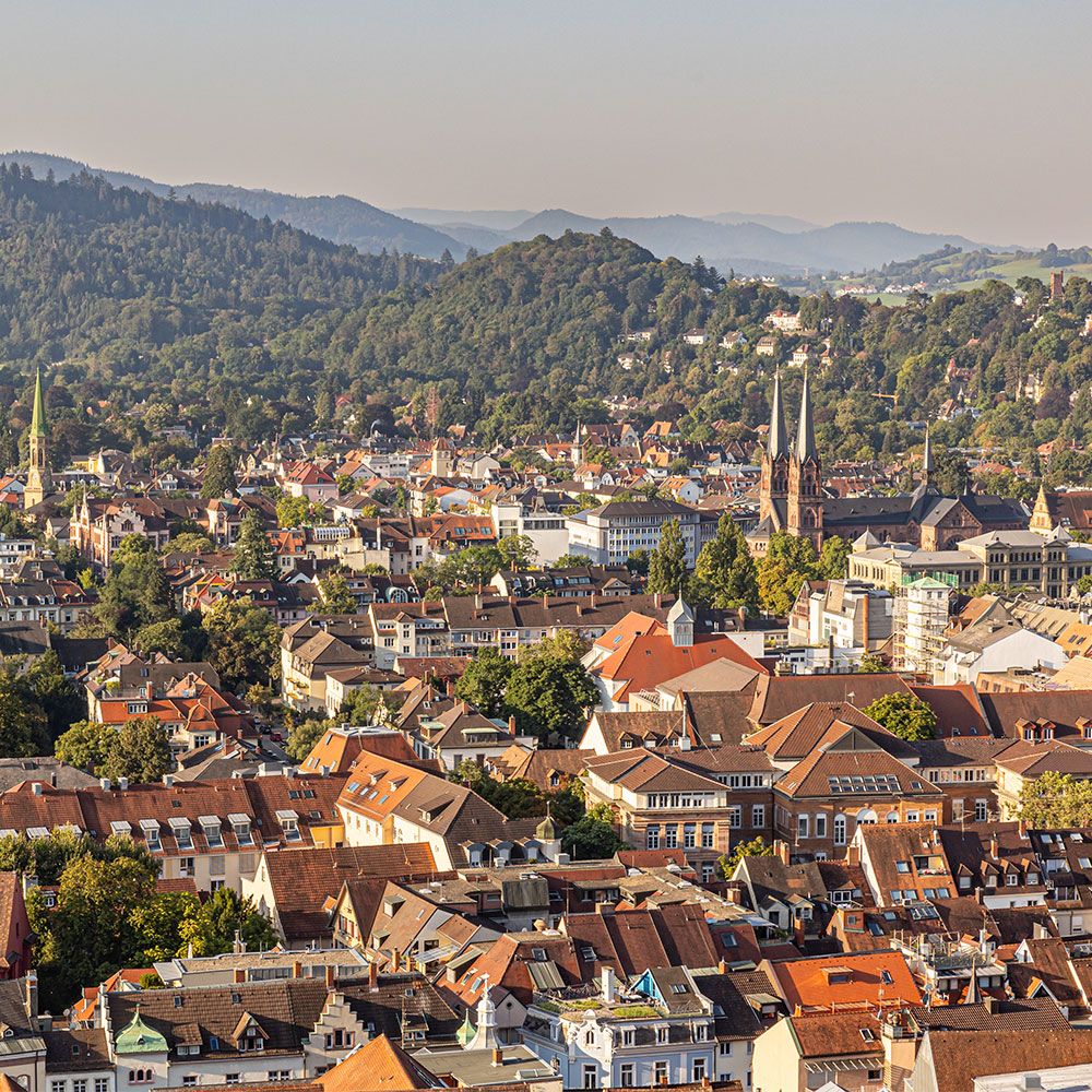 Blick vom Lorettoberg auf die Stadt Freiburg