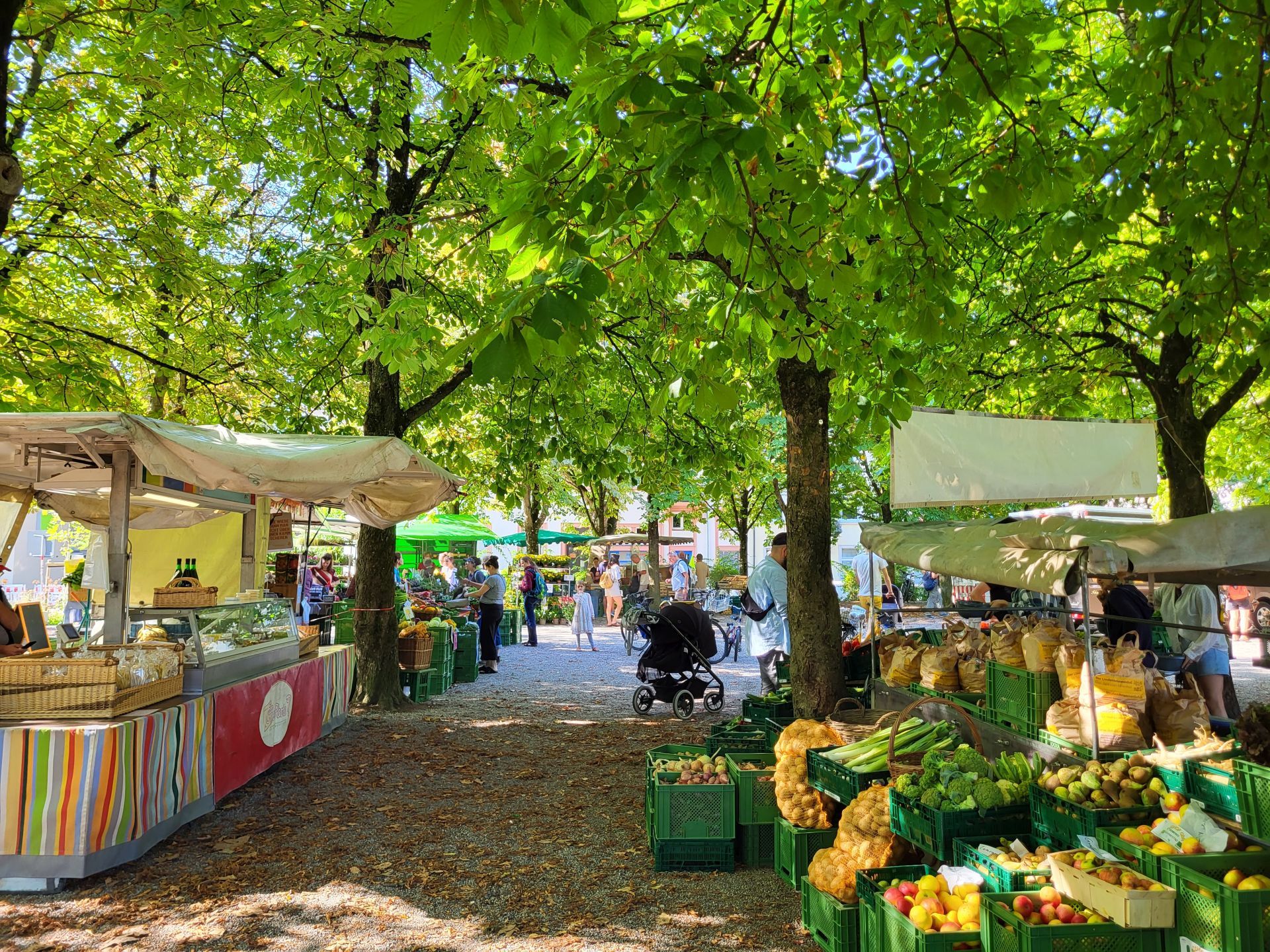 Markstände auf dem Bauernmarkt in Freiburg-Stühlinger