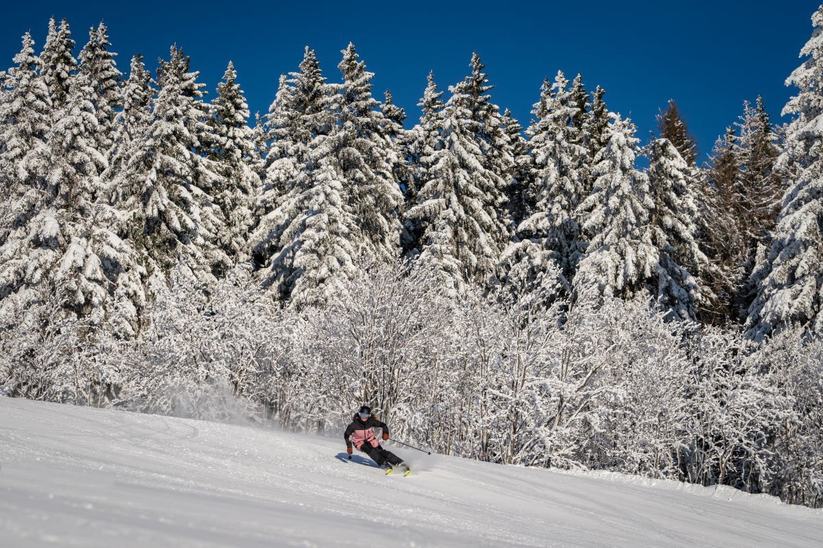 Skifahrer im Schwarzwald 