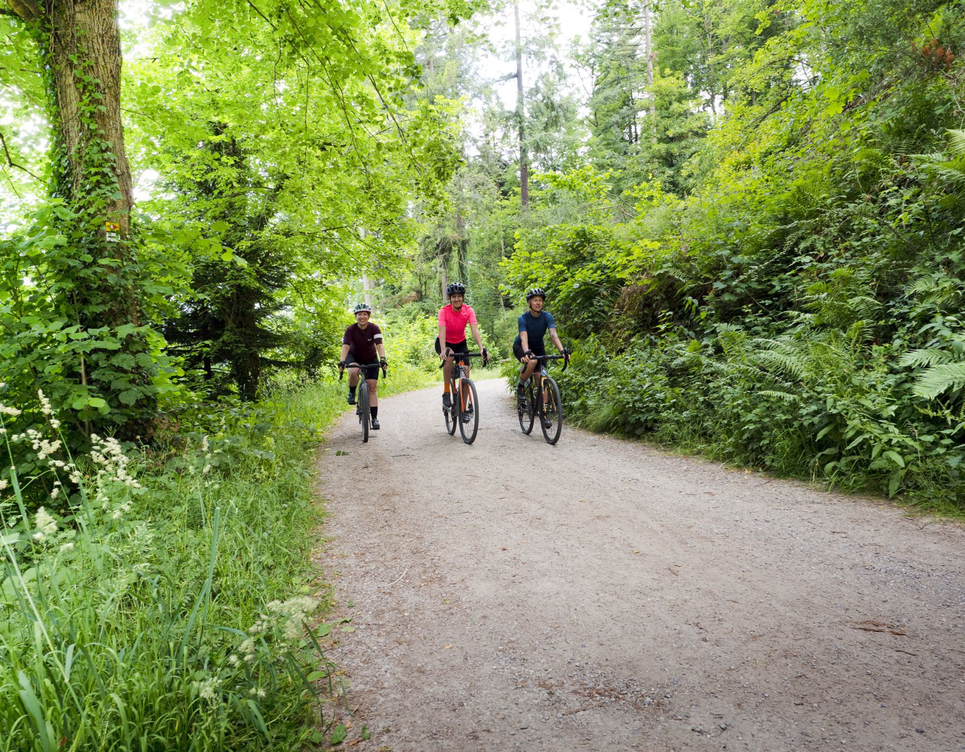 Gravel-Bike Tour im Freiburger Stadtwald