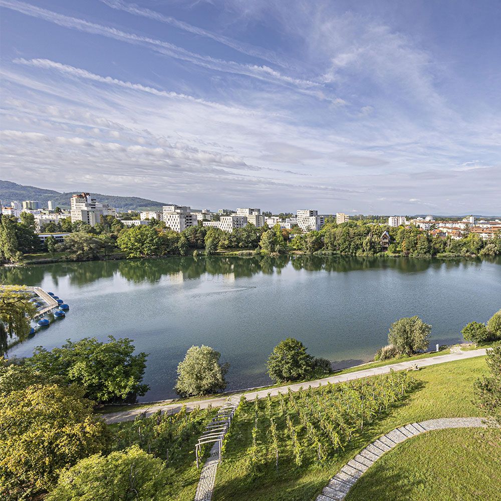 Blick auf den Freiburger Seepark