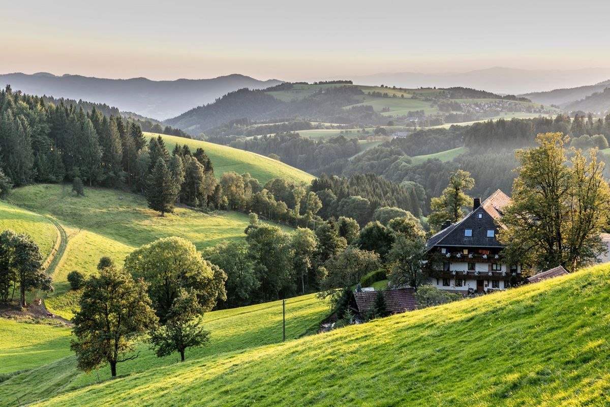 Ausblick auf die Hügel des Schwarzwalds und den Kapfenhof