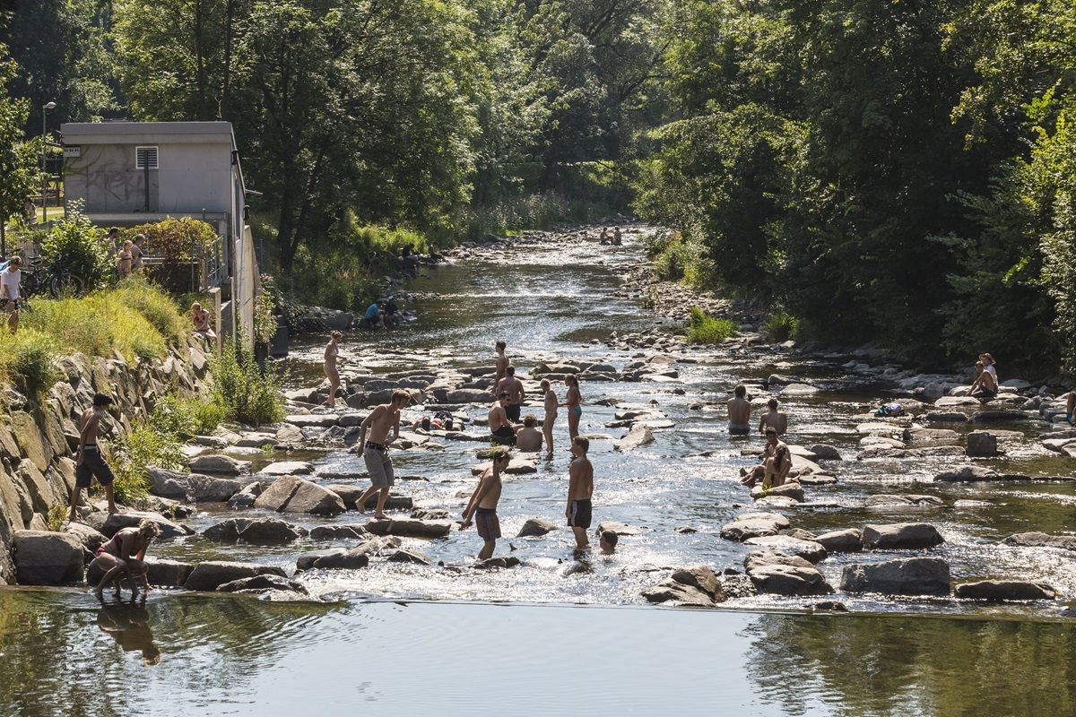 Baden in der Dreisam
