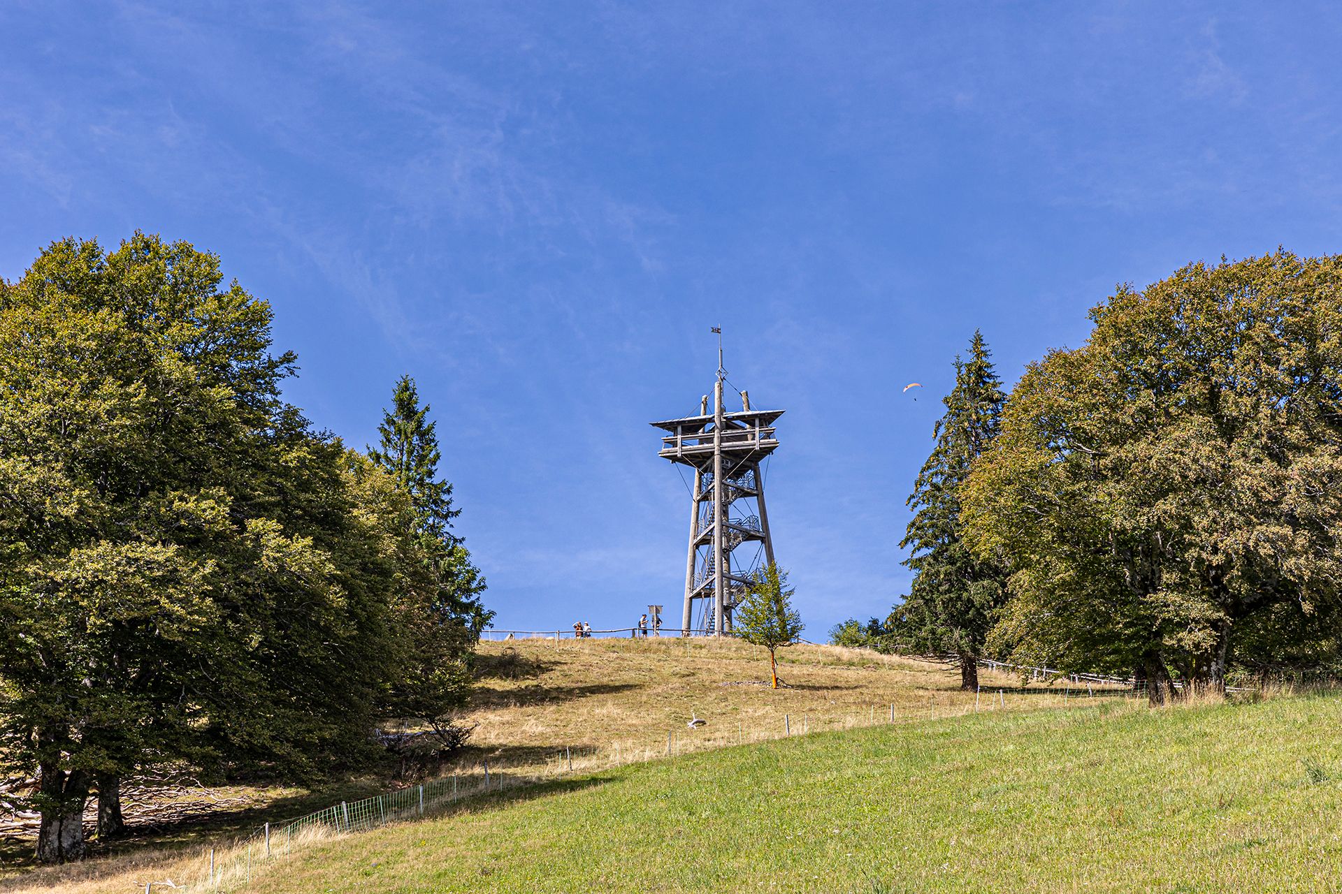 Der Eugen-Keidel-Turm auf dem Gipfel des Schauinslands.