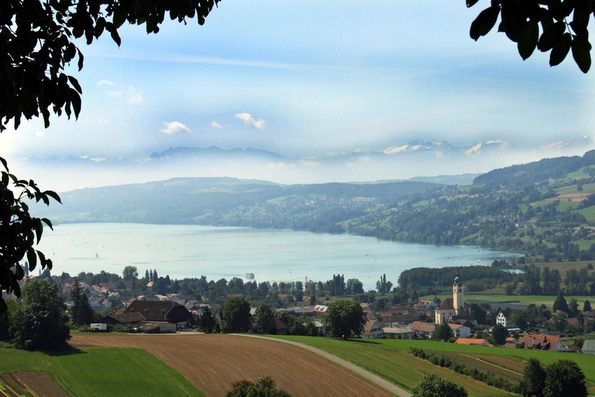 Hallwill Eichberg im Jura