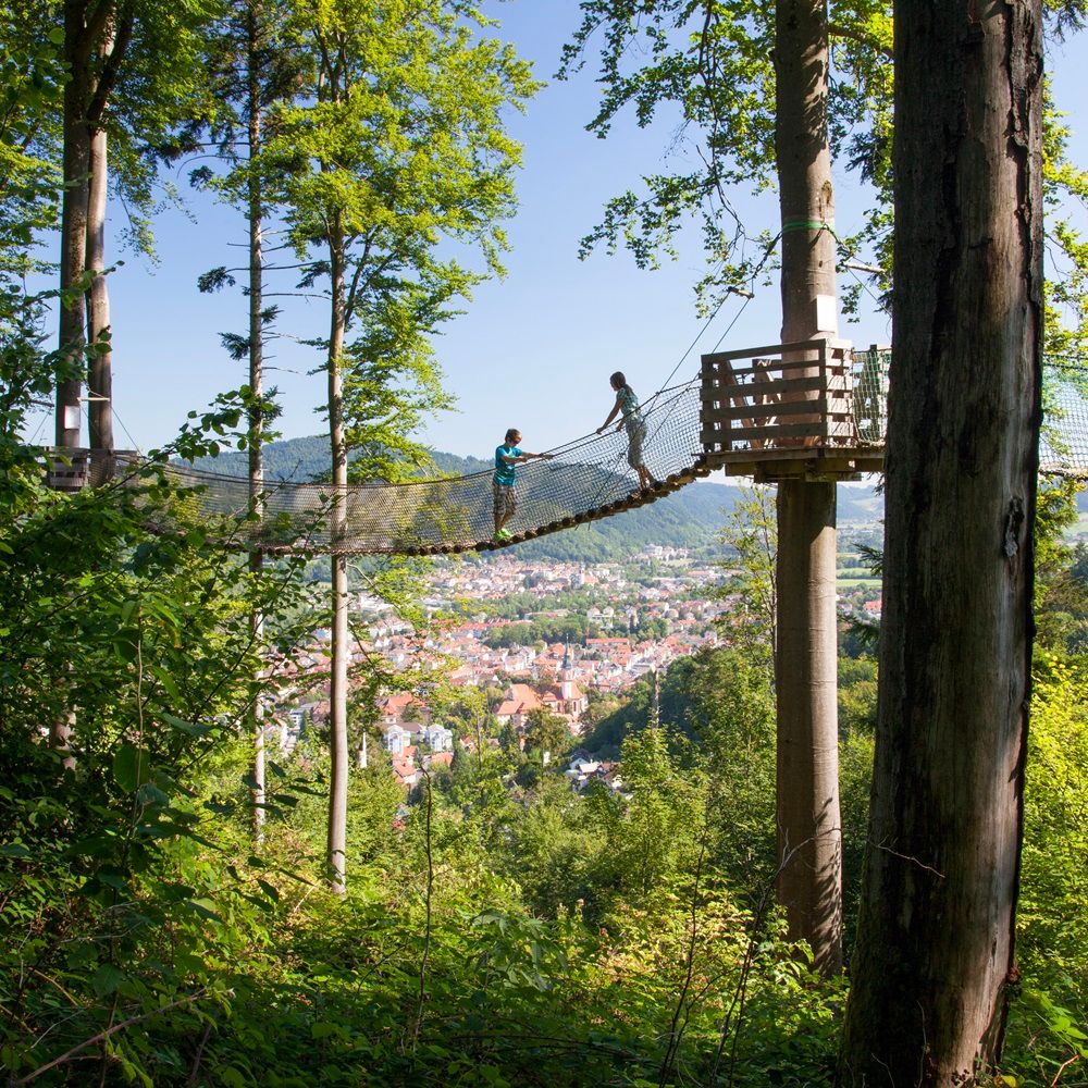 Kinder auf dem Baumkronenweg