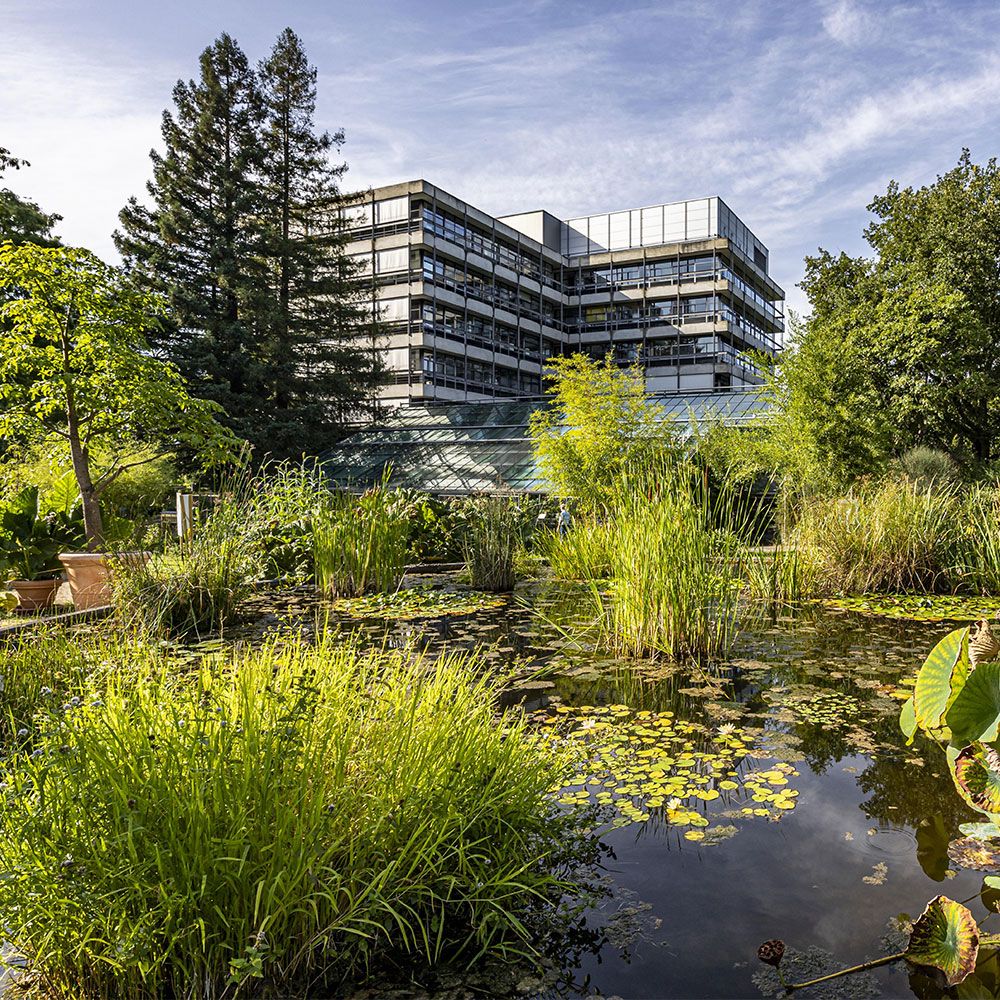 Botanischer Garten Freiburg