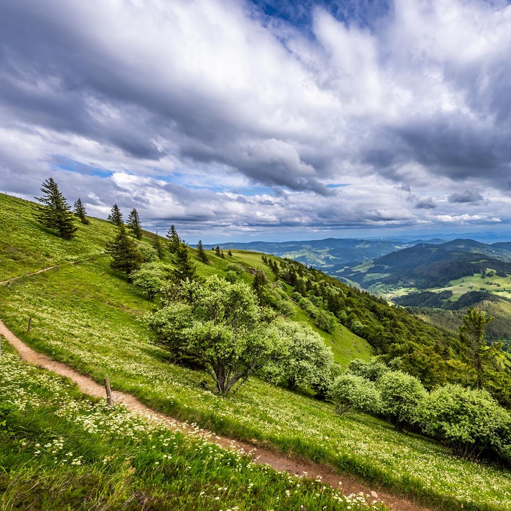 Belchensteig Schwarzwald