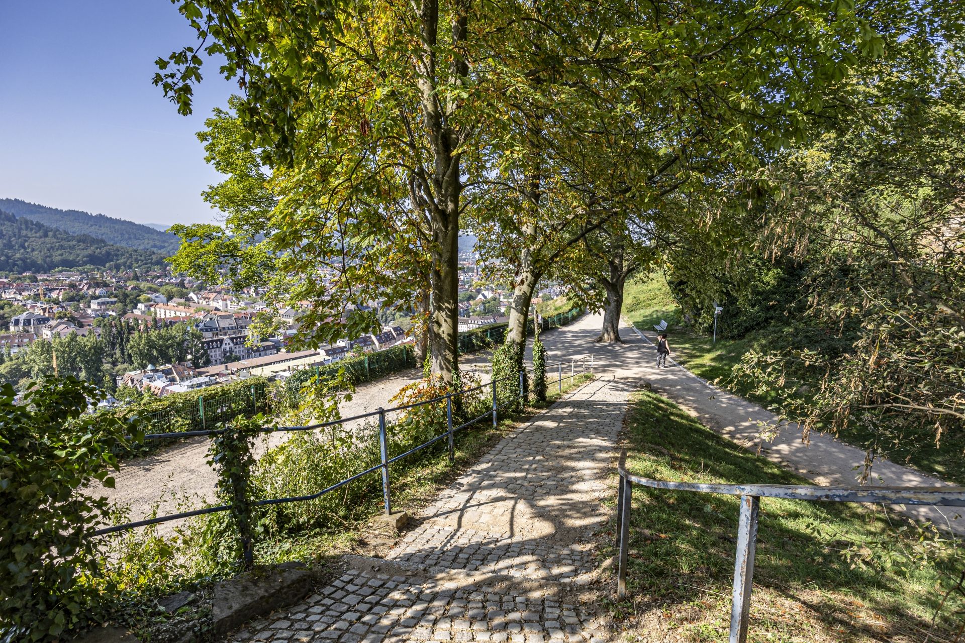 Blick ins Dreisamtal vom Schlossberg Freiburg.