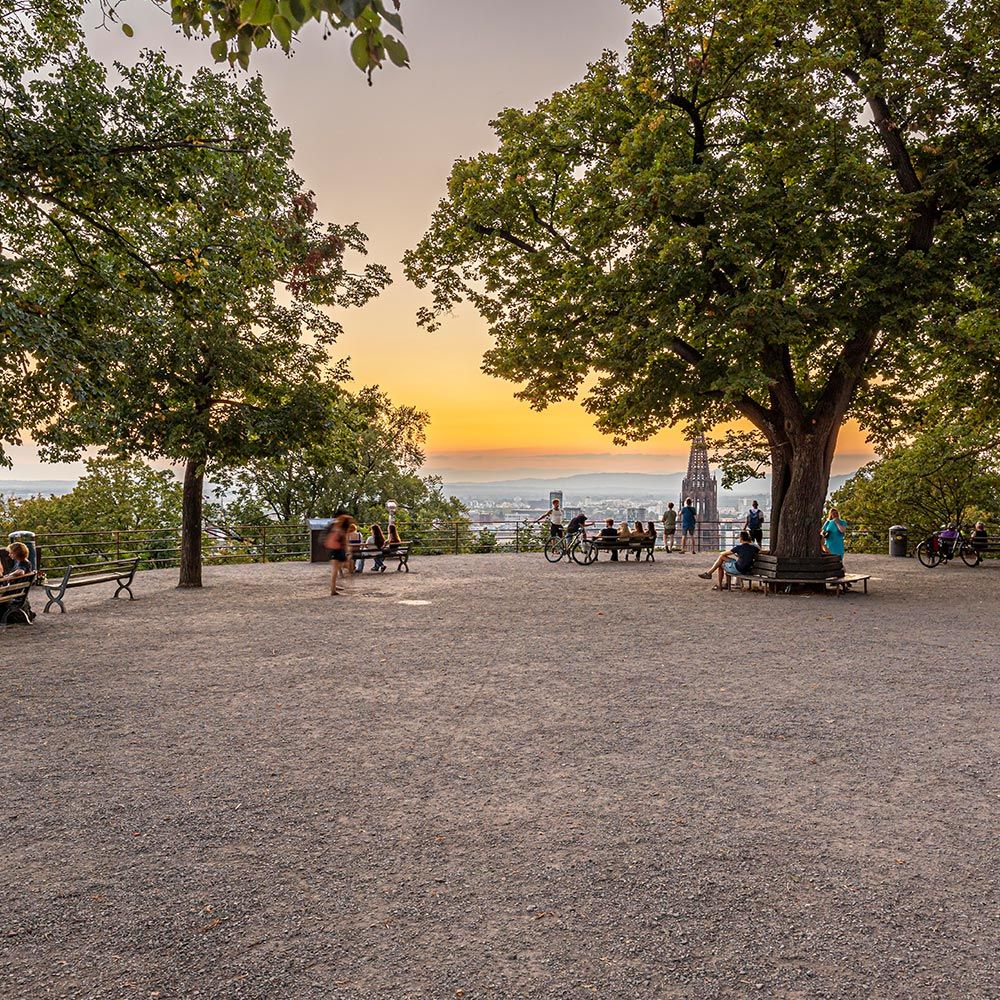 Kanonenplatz Freiburg